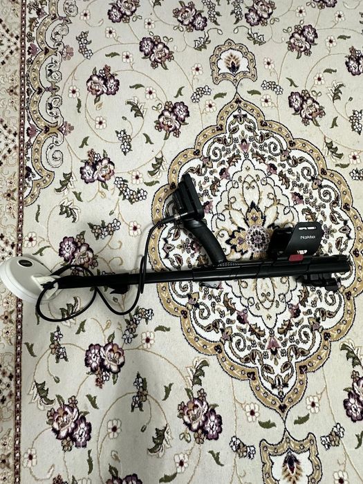 Голд монстр MINELAB GPX6000 // NOKTA 2000