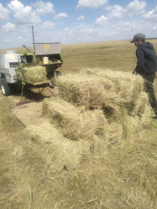 Продам сено тюки