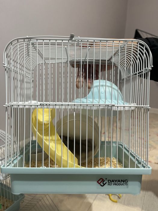 Хомяк с клеткой