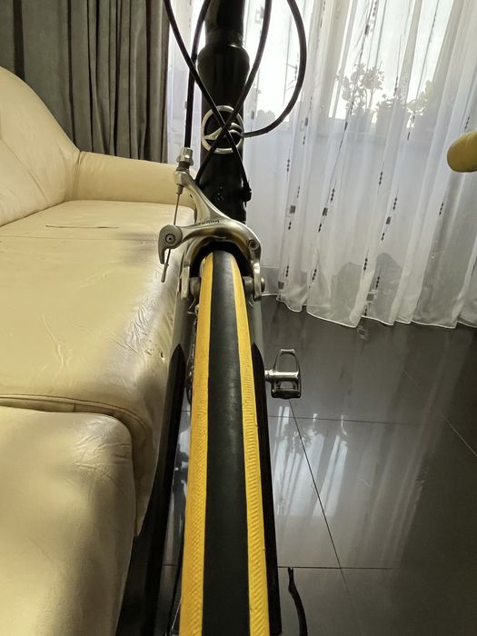 Cursiera Giant TCR hybrid