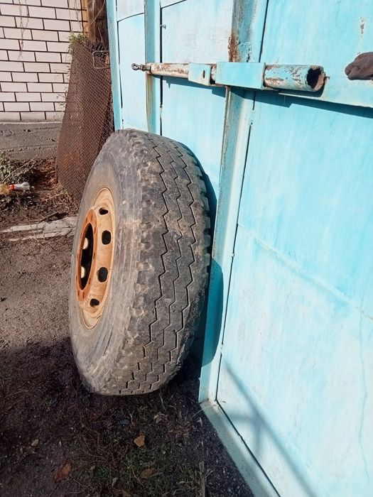 Хова шансиман 320х508