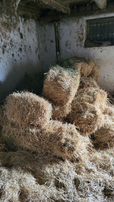 Сабан пресс 15 шт