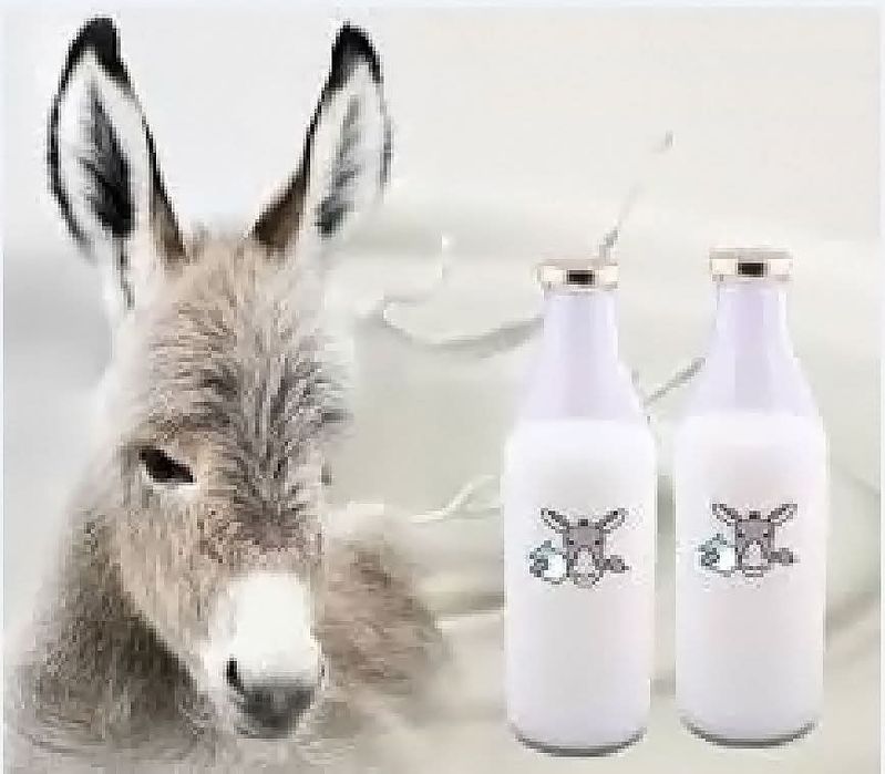 Vând lapte de măgăriță!