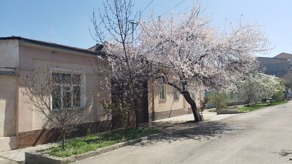 Участок Юнусабад