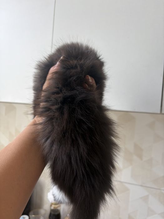Отдаю котенка девочка, ласковая, любит детей