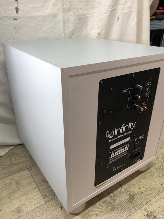 12” Infinity Subwoofer