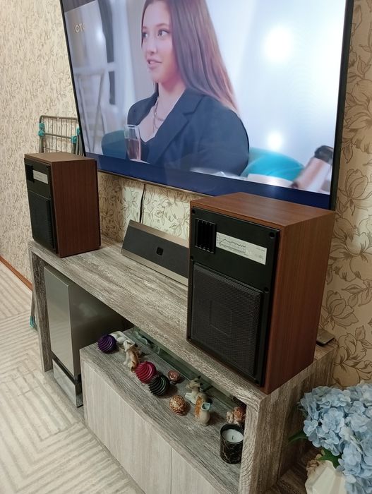 15 ас 223 (10 гдш)