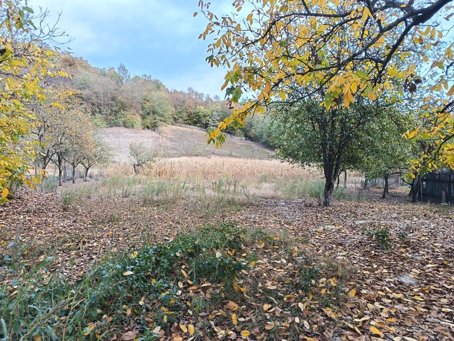 Teren intravilan/loc de casă 7.800 mp-Conop, jud. Arad