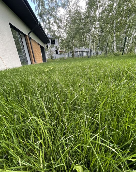 Посев Газона ! Газон! Опыт 5 лет!