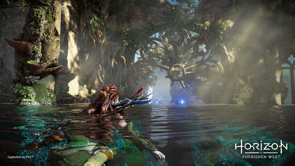 Horizon Forbidden West, Игра, Playstation, PS5, нова