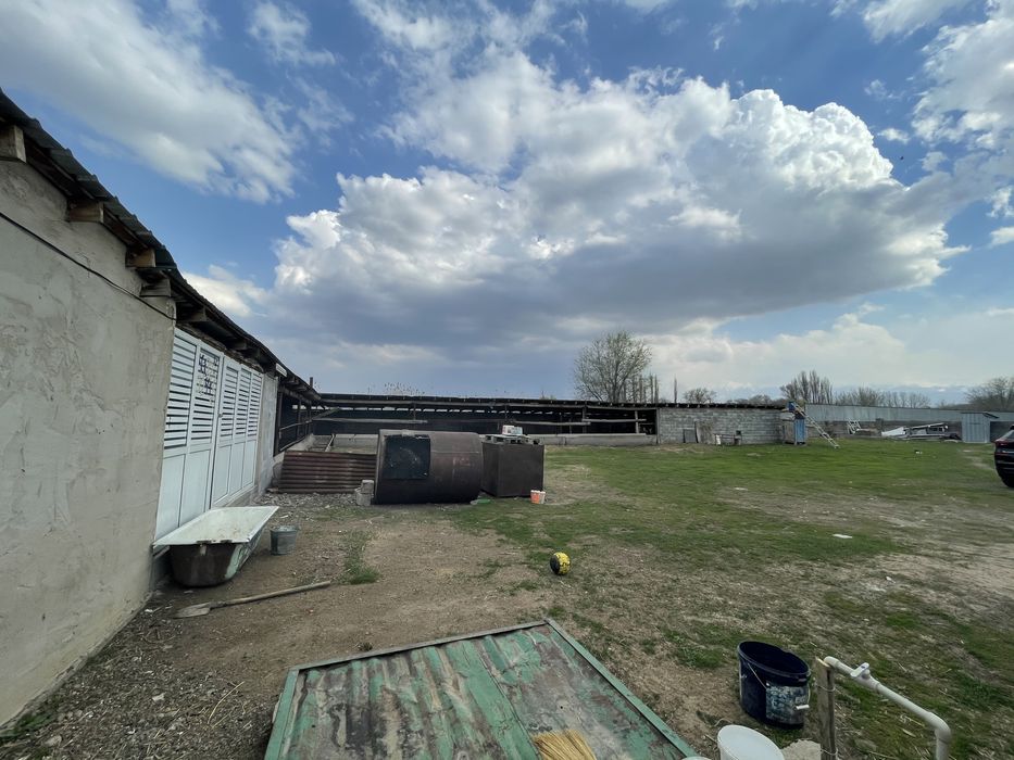 Продам фазенду.