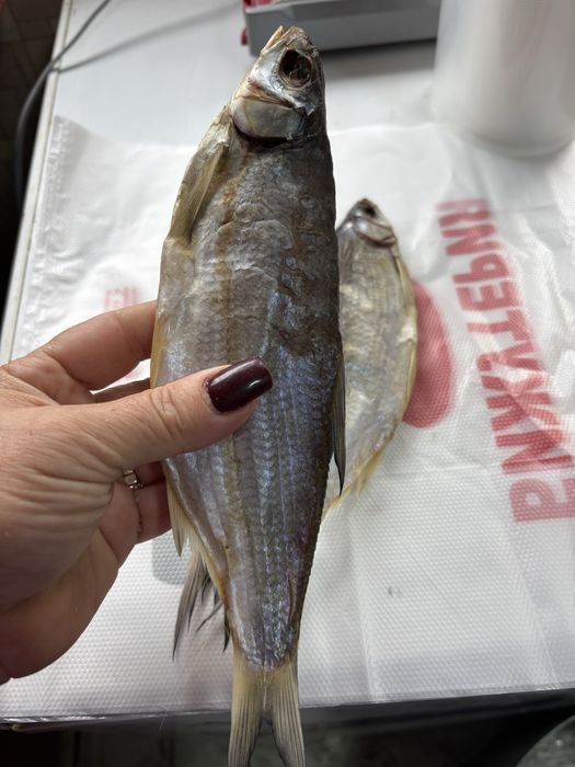 Рыба атырау в наличии