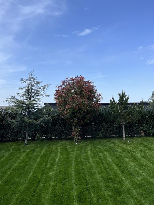 Озеленяване и услуги с мини багер – Пловдив и региона