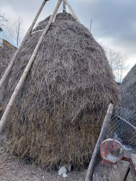 Fân de vânzare!! PRODUCȚIE 2025