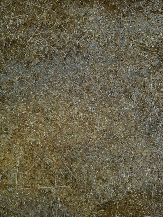 Мақсары топпан Сатылады