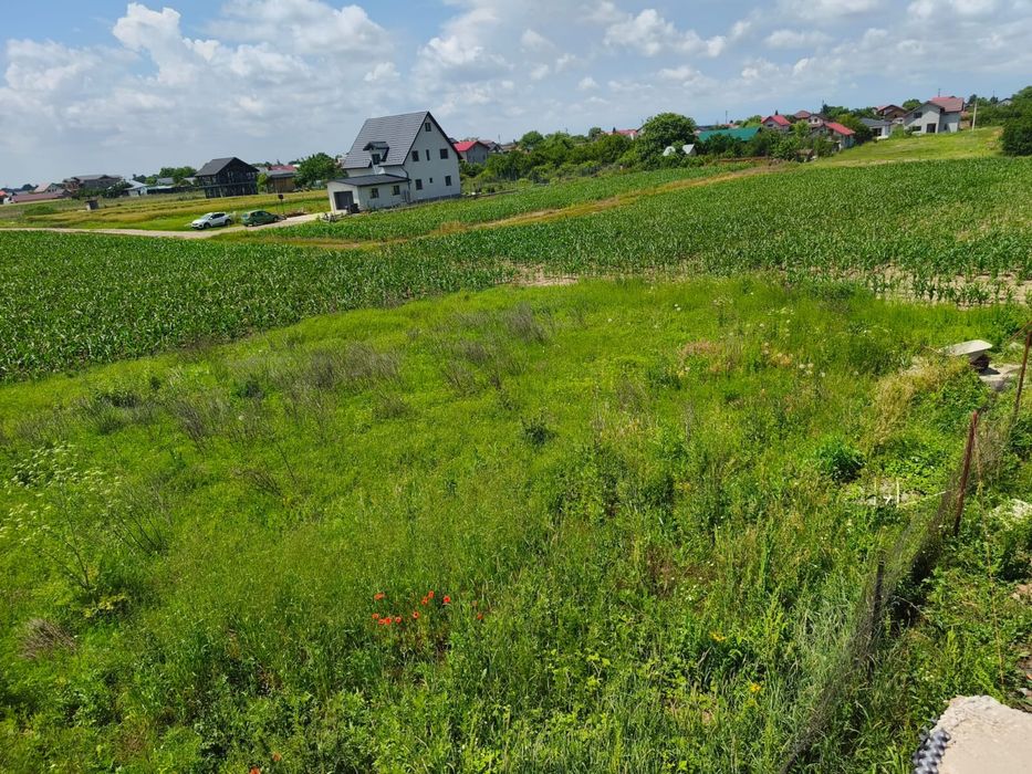 Teren intravilan 1.500 mp Moara Vlăsiei – Zonă rezidențială nouă, case