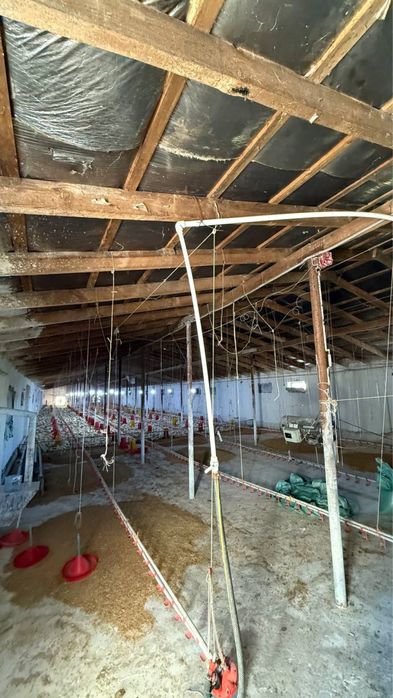 40 sotix yer sotiladi zangiota boz suv