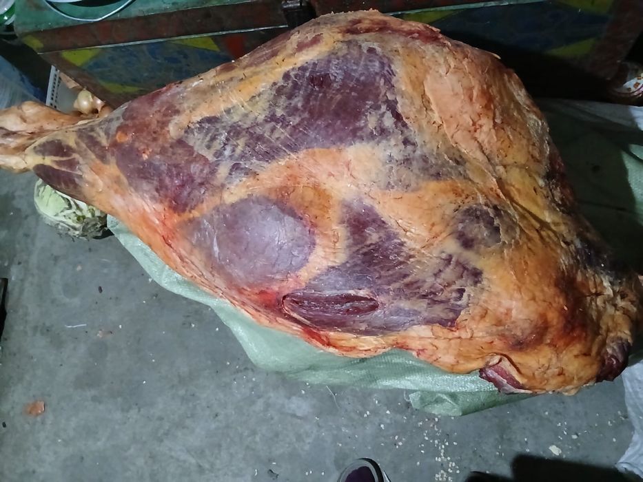 Сан еті / мясо продам