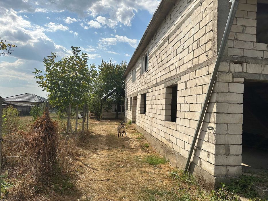 Casa +anexa+teren 23 ari .