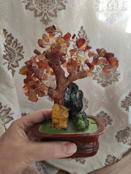 Продам сувенир денежное дерево