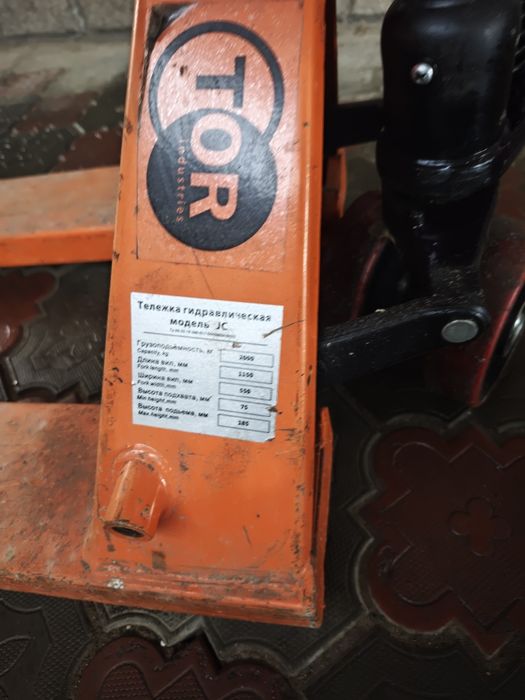 Рохля 2 тонник оранжевая