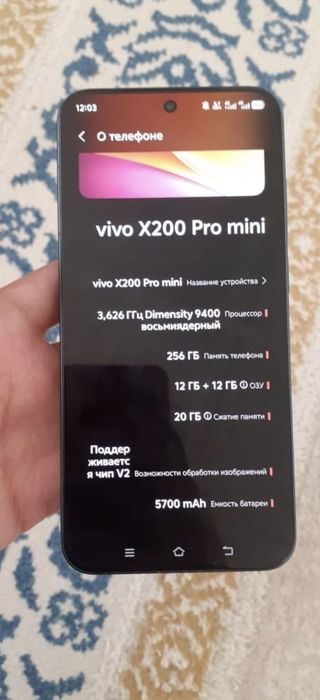 vivo x200 pro mini