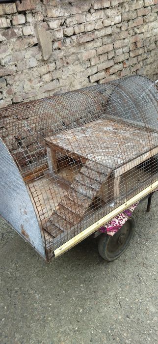 Продам клетку для циплят