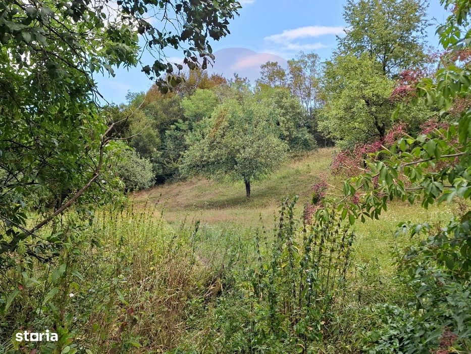 Teren construibil de vânzare 990mp în Barzava, județul Arad