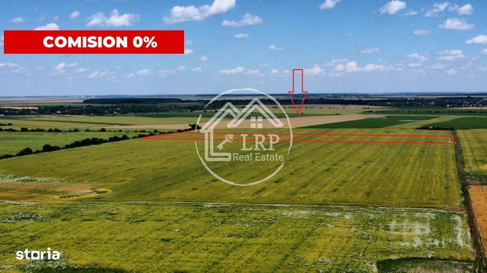 Teren Intravilan 20.000 mp Creata Dascalu, T66– dubla deschidere