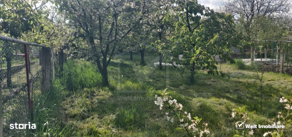 Casa cu gradina in Apahida