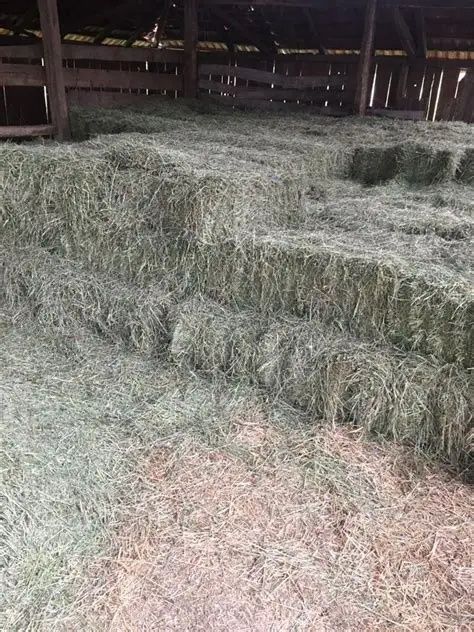 Baloț de fân, din anul 2025