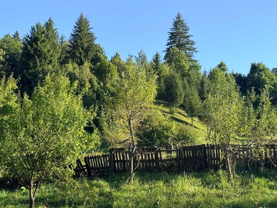 Teren intravilan panoramic, 2.796 mp, Sub Cetate, Harghita