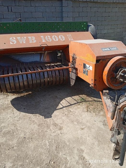 Piris afarati sotladi