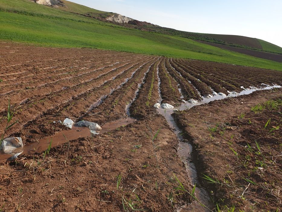 Yuqori sifatli guruh porno video