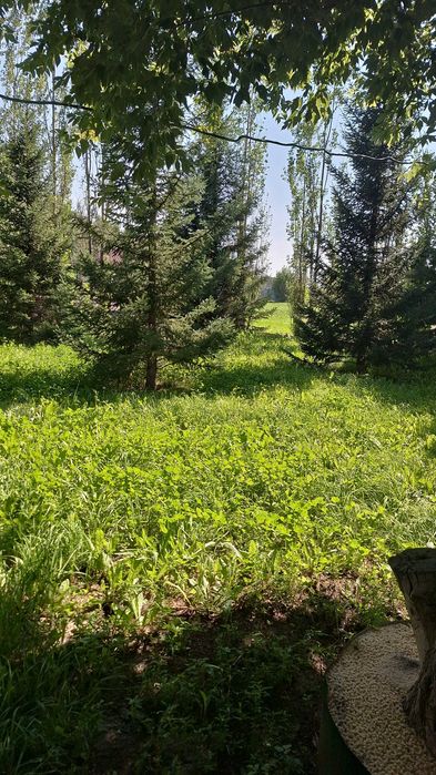 Загородный домик