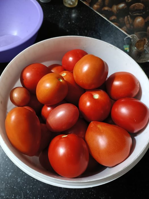 Продам помидоры домашние