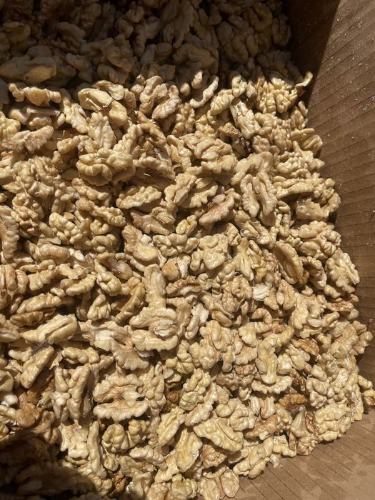 Vând miez de nuca 2024