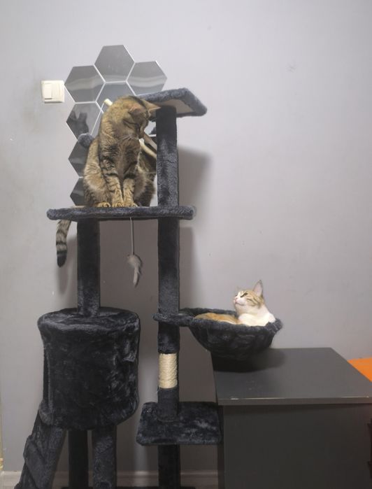 Продаётся домик для котят