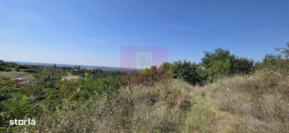 Teren intravilan 4.029 mp de vanzare, zona Crama Seciu