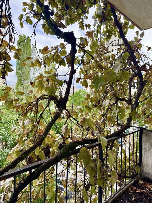 Продава се Четиристаен апартамент в София, Борово - 80 кв.м за 2813 €/кв.м - Снимка #4