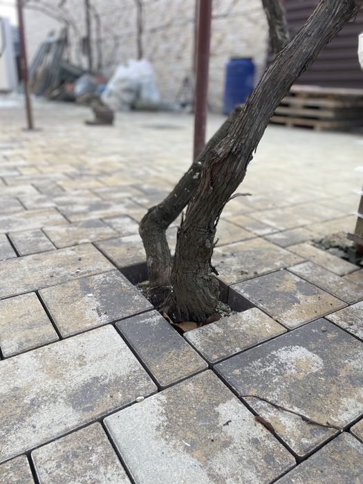 Montaj pavaj curți, parcări, alei – serios și durabil