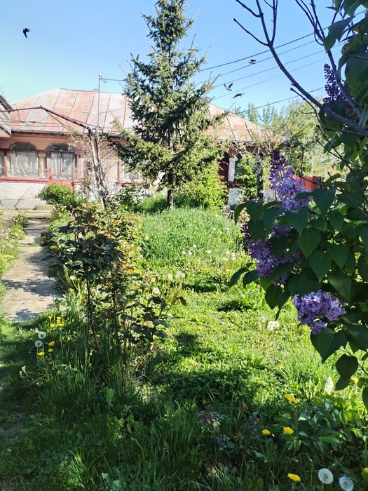 Casă de vânzare Titu(Salcuta) - 3 camere, teren 920 mp