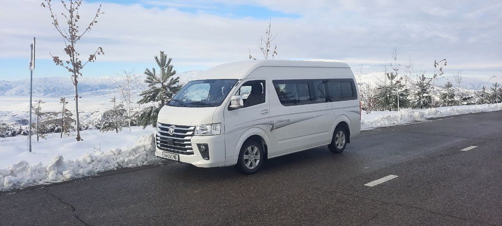 Пассажирские услуги