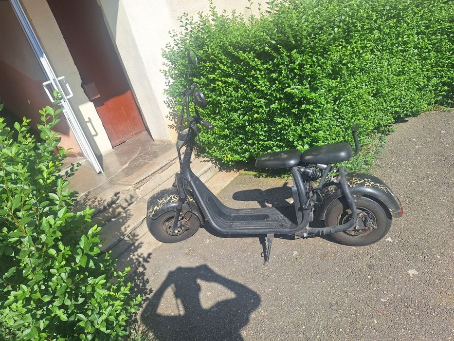 Vand city coco scooter !!