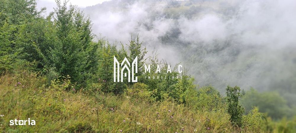 5000 teren in Muntii Apuseni I Pregatit pentru constructie