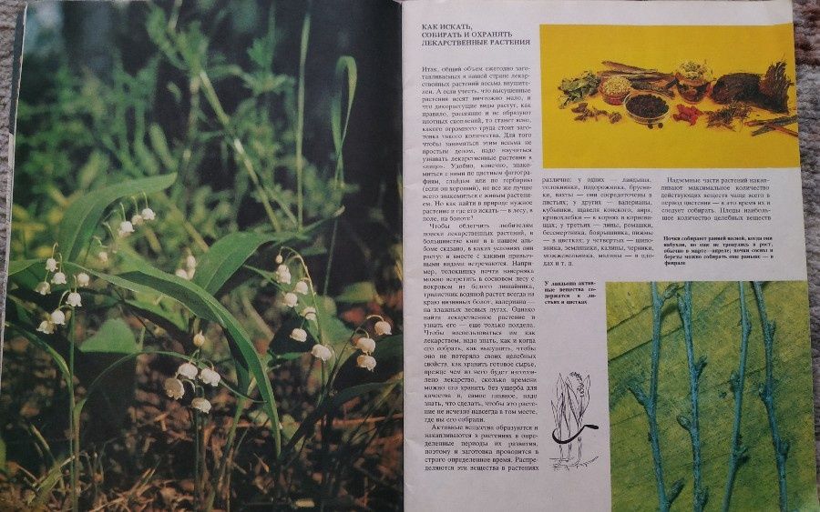 В,Ф,Сотник"Кладовая здоровья".Москва 1990г.