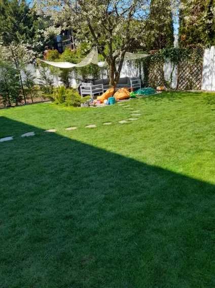Amenajări Curți cu Gazon Rulou – Livrare Rapidă și Montaj