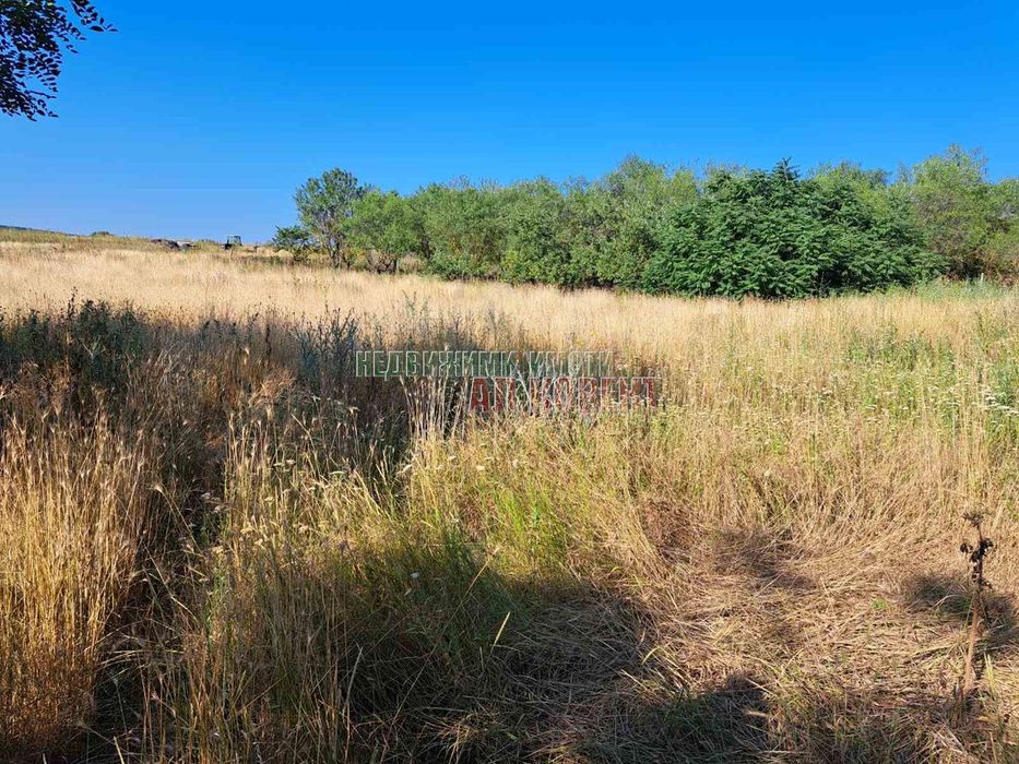 Продава се Парцел в с. Чернево, Област Варна - 2395 кв.м за 18 €/кв.м - Снимка #2