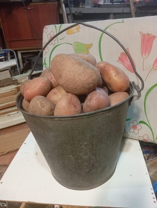 Продам картошку,дачная