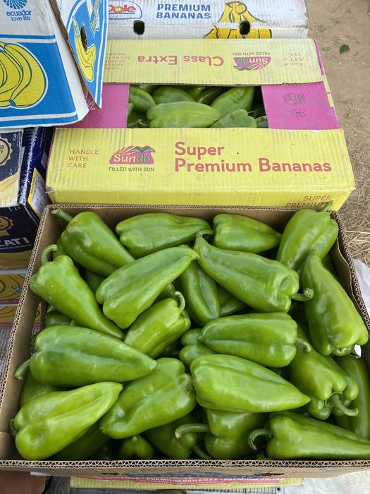 Пипер Капия Големи количества!